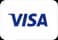 Payment method visa.avif
